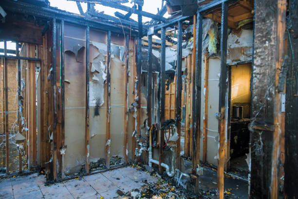 Professional Fire Damage Removal technician working in Jenkintown, PA